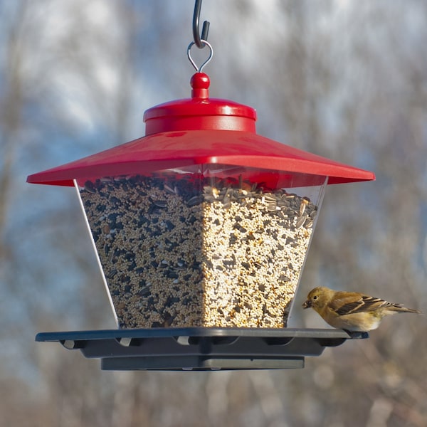 Audubon Audubon Wild Bird 7 lb Plastic Cafe Bird Feeder 4 ports - NA6228