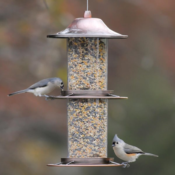 Perky-Pet Perky-Pet Wild Bird 4.5 lb Metal/Plastic Panorama Bird Feeder 2 ports - 325C