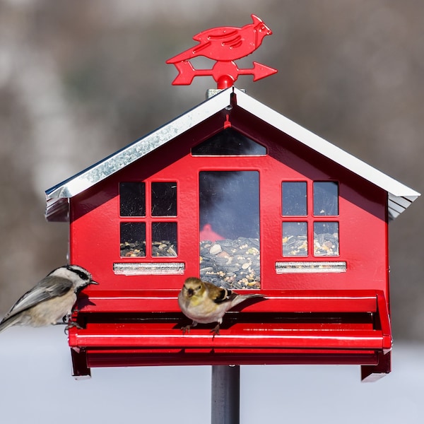Perky-Pet Perky-Pet Squirrel-Be-Gone Wild Bird 8 lb Metal Country House Bird Feeder 1 ports - 338