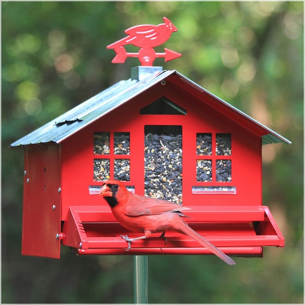 Perky-Pet Perky-Pet Squirrel-Be-Gone Wild Bird 8 lb Metal Country House Bird Feeder 1 ports - 338
