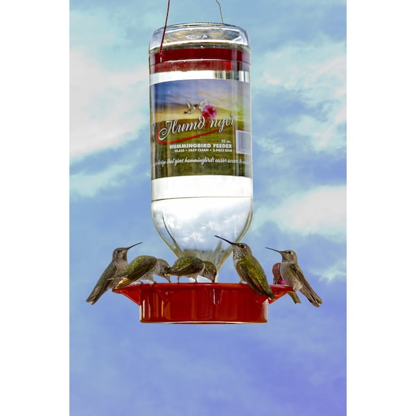 Humdinger Humdinger Hummingbird 32 oz Glass Bottle Nectar Feeder 8 ports - 105
