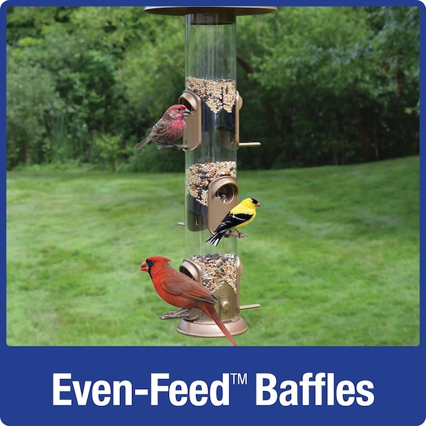 Natures Way Nature's Way Deluxe Wild Bird and Finch 1.5 qt Metal/Plastic Funnel Flip-Top Tube Bird Feeder 6 port - NMFFB-19