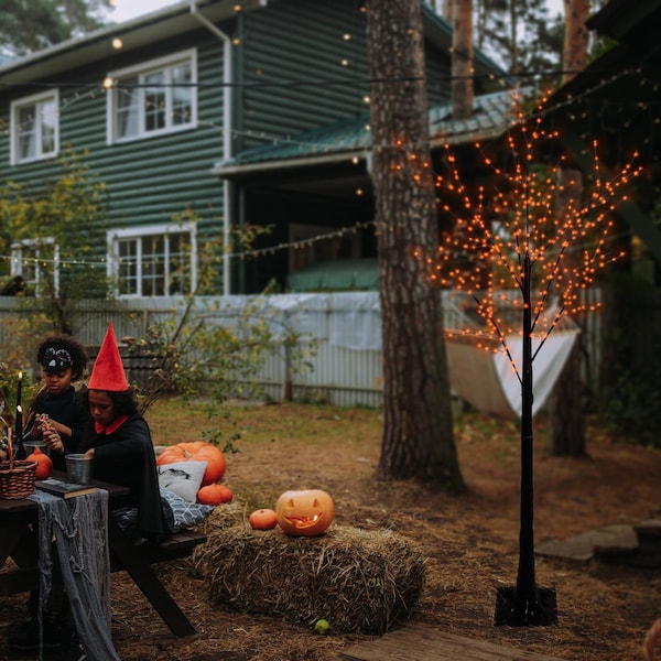 Celebrations Celebrations Orange/Purple 350 ct 5 ft. LED Prelit Spooky Tree Yard Decor - SPTT5PLORA