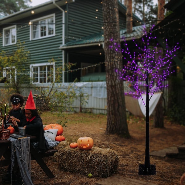 Celebrations Celebrations Orange/Purple 350 ct 5 ft. LED Prelit Spooky Tree Yard Decor - SPTT5PLORA