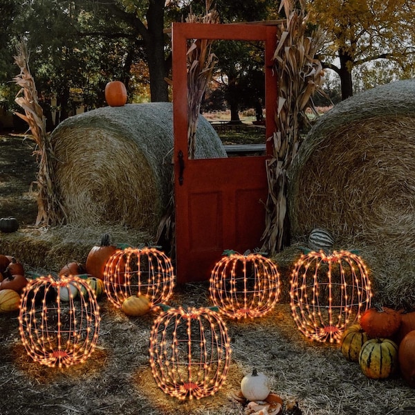 Celebrations Celebrations Orange 216 ct 16 in. LED Prelit Foldable Pumpkin Halloween Decor - PMKTORA