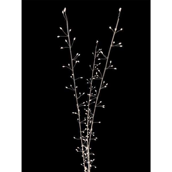 Celebrations Celebrations LED Warm White Lighted Branches 38 in. Yard Decor - MICBWTWIG38WWA