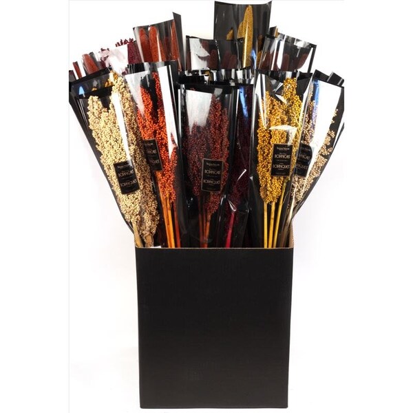 Second Nature Second Nature 24 in. Milo/Millet Dried Floral Stems Bouquet - 06744