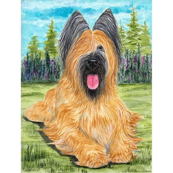 Patioplus Briard Flag Canvas House Size - PA3423939