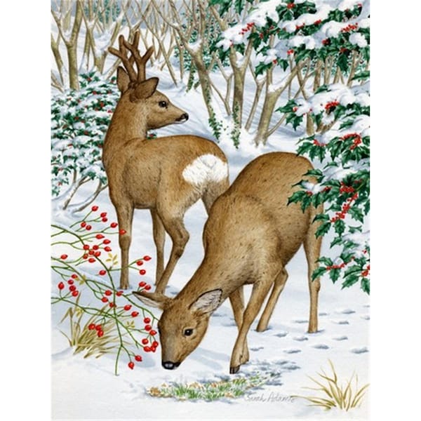 Carolines Treasures European Roe Deer Western Roe Deer Flag Garden Size - ASA2004GF
