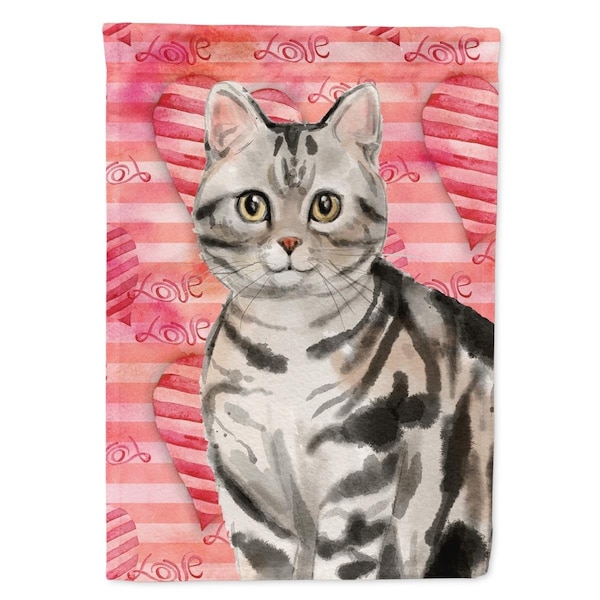 Carolines Treasures American Shorthair Cat Love Garden Size Flag - CK3044GF