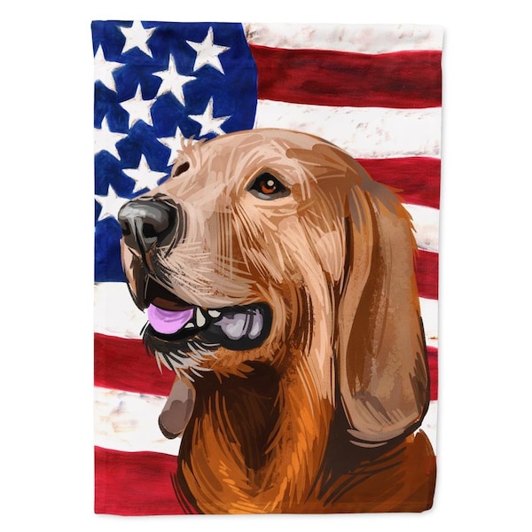 Carolines Treasures Segugio Italiano Dog American Garden Flag - 11 x 0.01 x 15 in. - CK6698GF