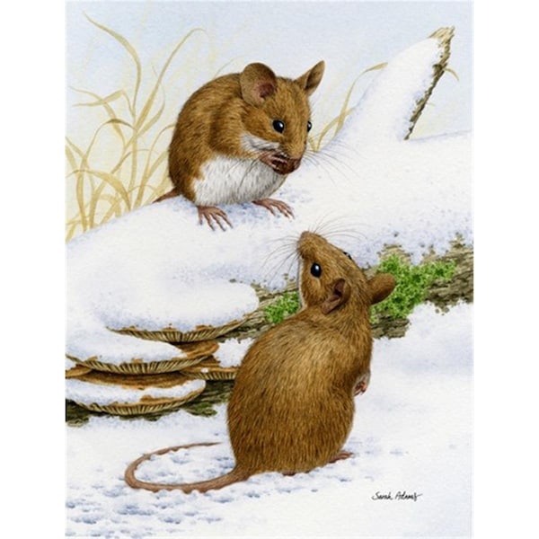 Patioplus Wood Mice Wood Mouse Flag Garden Size - PA251708