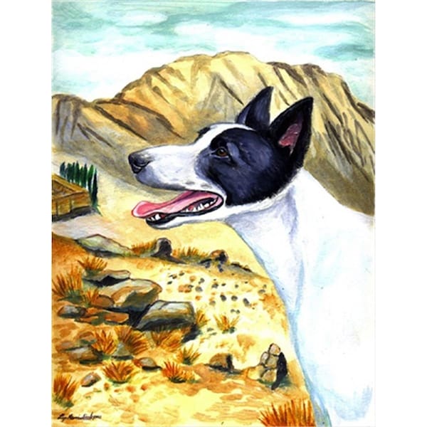 Carolines Treasures 11 x 15 in. Canaan Dog Flag Garden Size - 7018GF