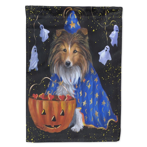 Patioplus 11 x 0.01 x 15 in. Sheltie Halloween Witch Garden Flag - PA2553387