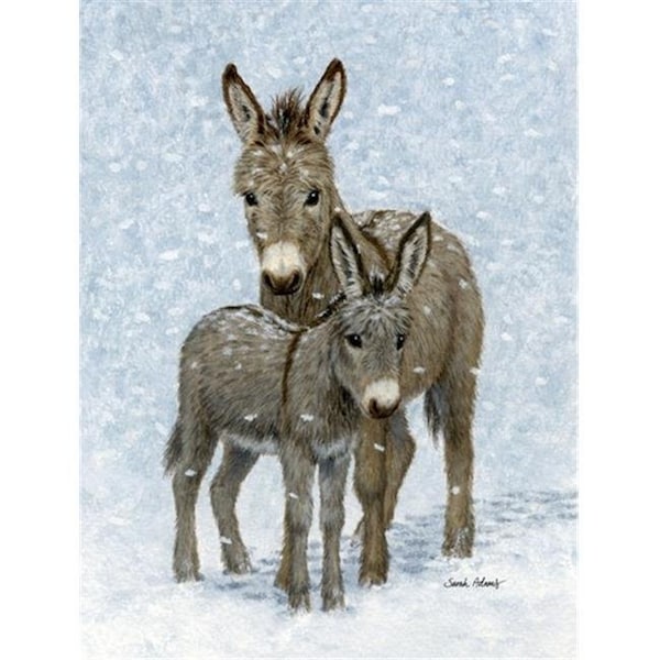 Carolines Treasures Carolines Treasures ASA2149CHF Donkeys Flag Canvas House Size - ASA2149CHF