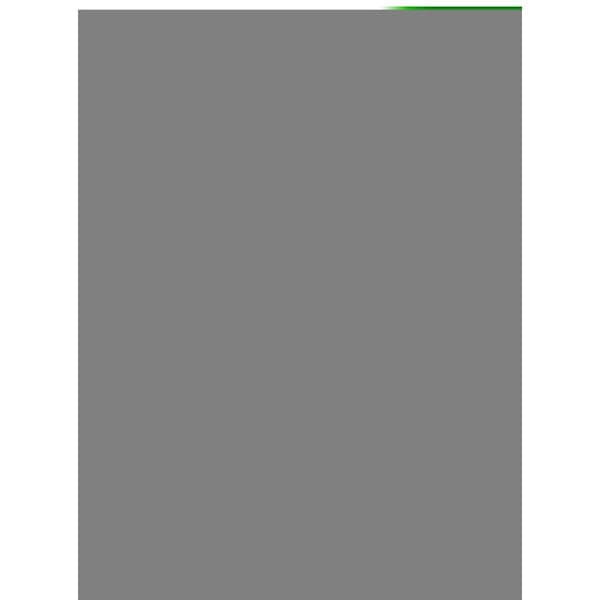 Carolines Treasures 11 x 0.01 x 15 in. Brazilian Shorthair Cat Love Garden Flag - CK5565GF