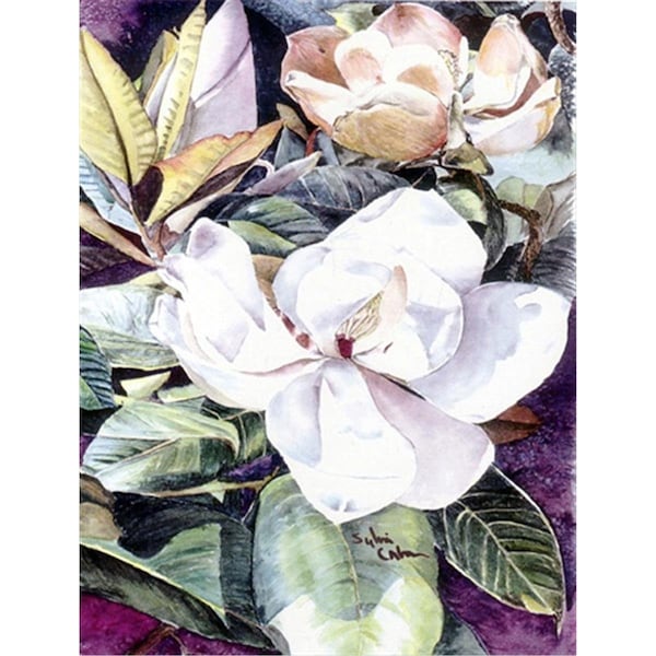 Patioplus 28 x 40 in. Flower - Magnolia House Size Canvas Flag - PA2554541