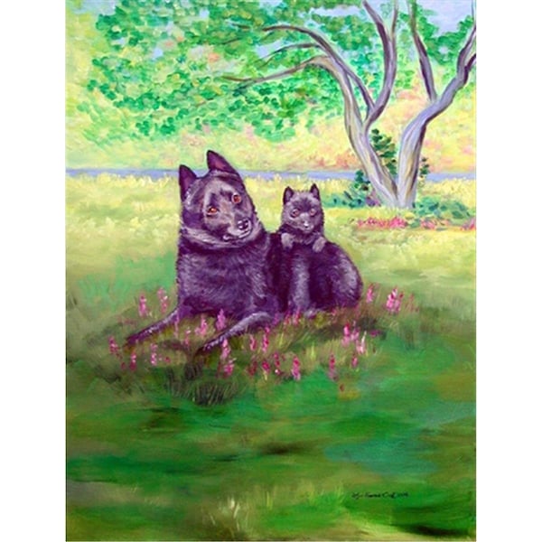 Patioplus 11 x 15 in. Schipperke Garden Size Flag - PA892899