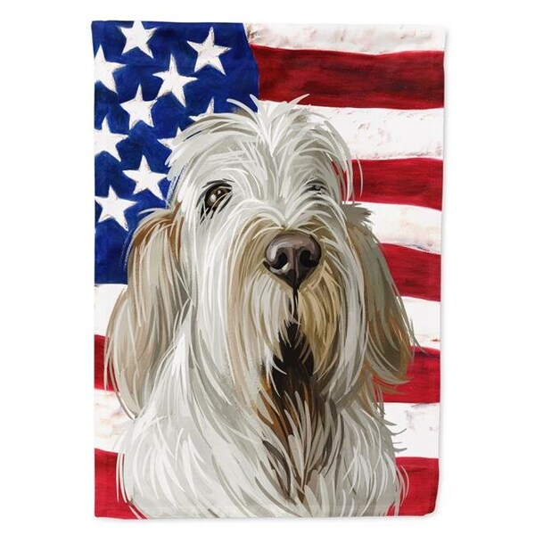 Carolines Treasures Carolines Treasures CK6720CHF Spinone Italiano Dog American Canvas House Flag - 28 x 0.01 x 40 in. - CK6720CHF