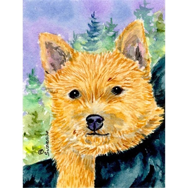 Carolines Treasures 11 x 15 In. Norwich Terrier Flag- Garden Size - SS8905GF