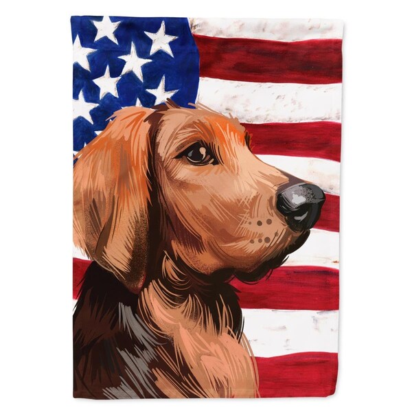 Carolines Treasures Polish Hound Dog American Garden Flag - 11 x 0.01 x 15 in. - CK6652GF