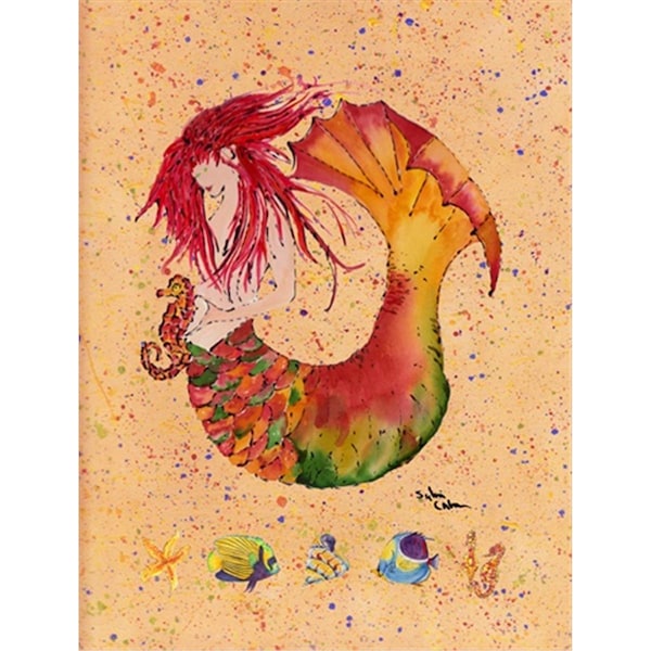 Patioplus Mermaid Flag Canvas House Size - PA2930617