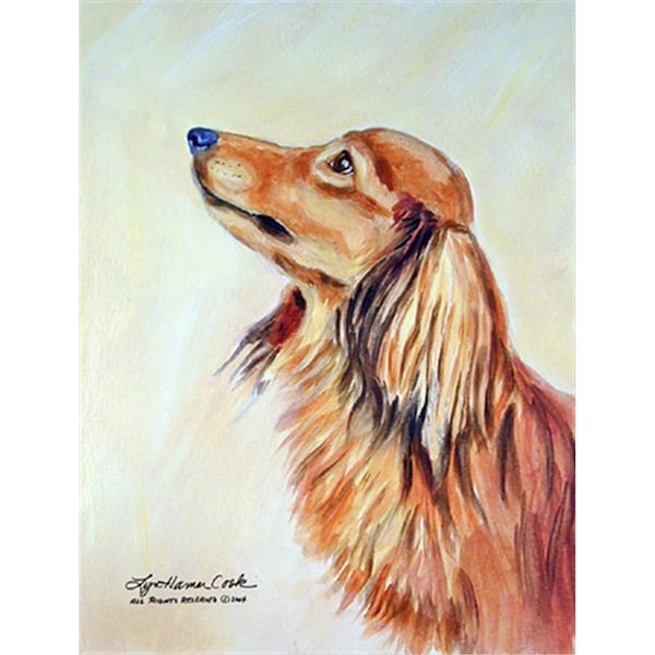 Carolines Treasures 28 x 40 in. Dachshund House Size Canvas Flag - 7240CHF