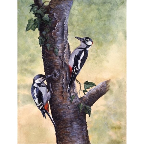 Carolines Treasures Woodpeckers by Daphne Baxter Flag Garden Size - BDBA0335GF