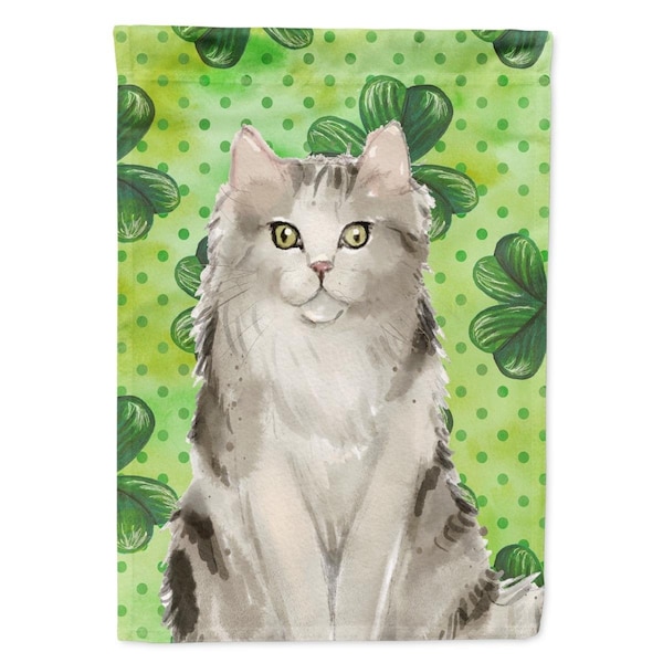 Carolines Treasures Ragamuffin Shamrock Flag Canvas House Size - CK3066CHF