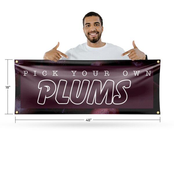 Signmission Pick Your Own Plums, 18 Inch x 48 Inch, Vinyl Banner - B-30795