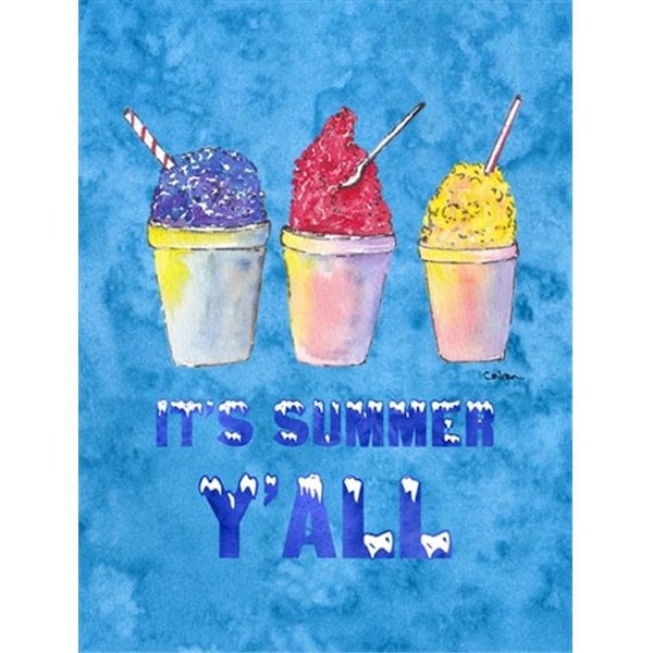 Carolines Treasures Carolines Treasures 8779CHF 28 x 40 in. Snowballs and Snowcones House Size Canvas Flag - 8779CHF