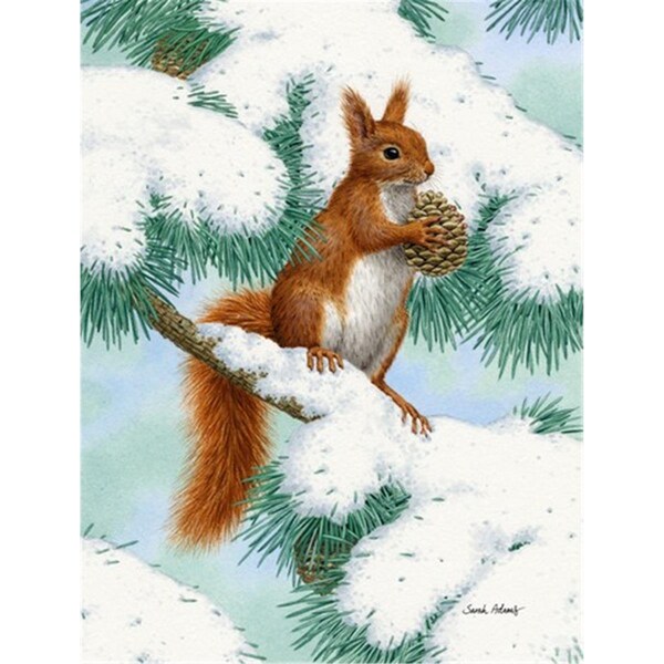 Carolines Treasures Red Squirrel With Pine Cone Flag Canvas House Size - ASA2033CHF