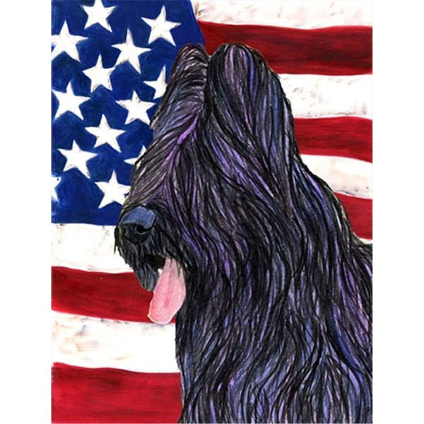 Carolines Treasures 28 x 40 in. USA American Flag with Briard House Size Canvas Flag - SS4052CHF