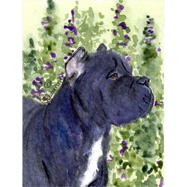 Carolines Treasures Carolines Treasures SS8841CHF 28 x 40 In. Cane Corso Flag Canvas; House Size - SS8841CHF