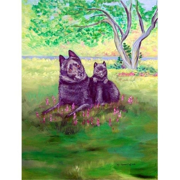 Carolines Treasures Carolines Treasures 7263GF 11 x 15 in. Schipperke Garden Size Flag - 7263GF
