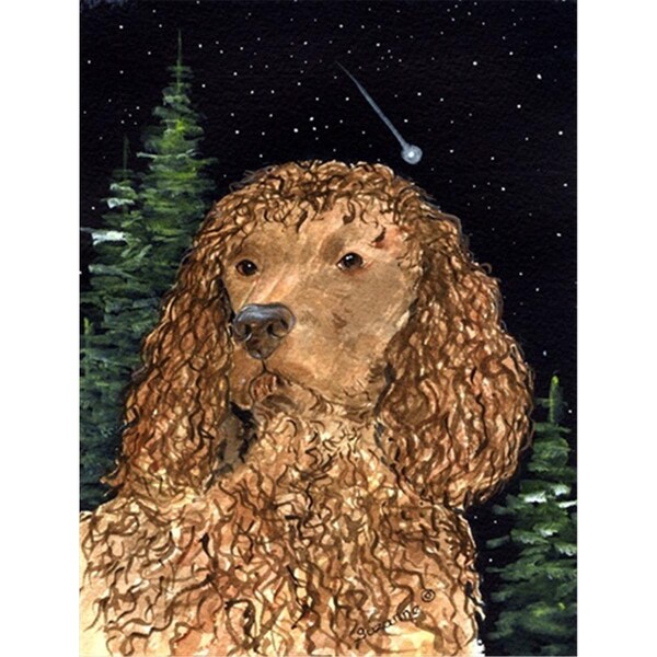 Carolines Treasures American Water Spaniel Canvas Flag - House Size- 28 x 40 in. - SS8510CHF
