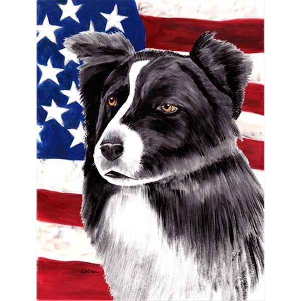 Patioplus 11 x 15 in. Usa American Flag With Border Collie Flag Garden Size - PA245781
