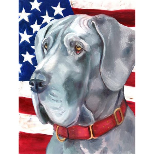 Carolines Treasures Great Dane Usa Patriotic American Flag Flag Canvas House Size - LH9542CHF