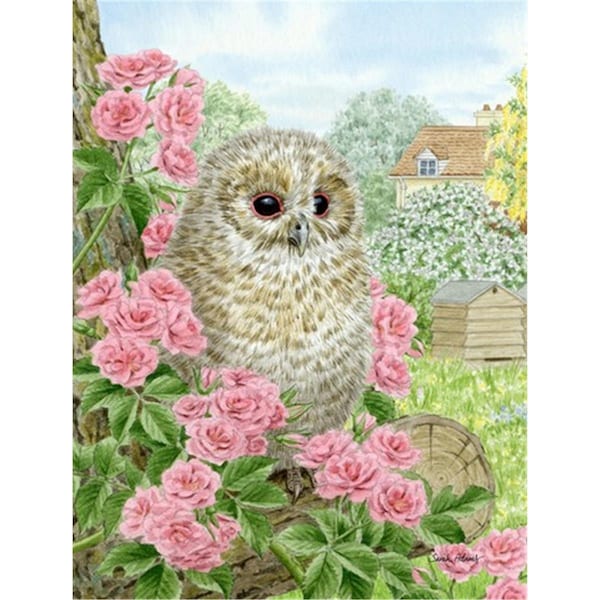 Patioplus Tawny Owlet Flag Garden Size - PA252665