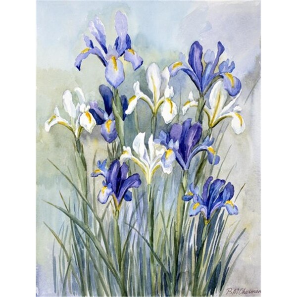 Carolines Treasures Iris by Bettie Cheesman Flag Garden Size - CA78700