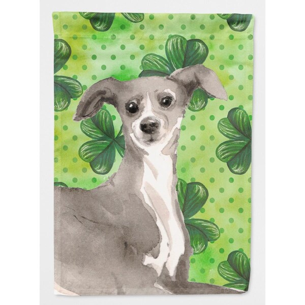 Carolines Treasures Italian Greyhound Saint Patricks Flag Canvas - House Size - BB9562CHF