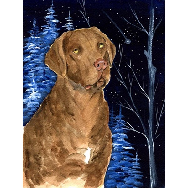 Patioplus Starry Night Chesapeake Bay Retriever Flag - Garden Size; 11 x 15 in. - PA759048