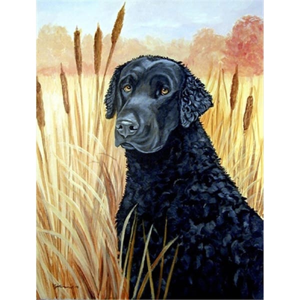Patioplus Curly Coated Retriever Canvas Flag - House Size, 28 x 40 in. - PA2554464