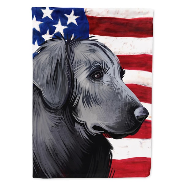 Patioplus Flat-Coated Retriever American Garden Flag - 11 x 0.01 x 15 in. - PA2893599