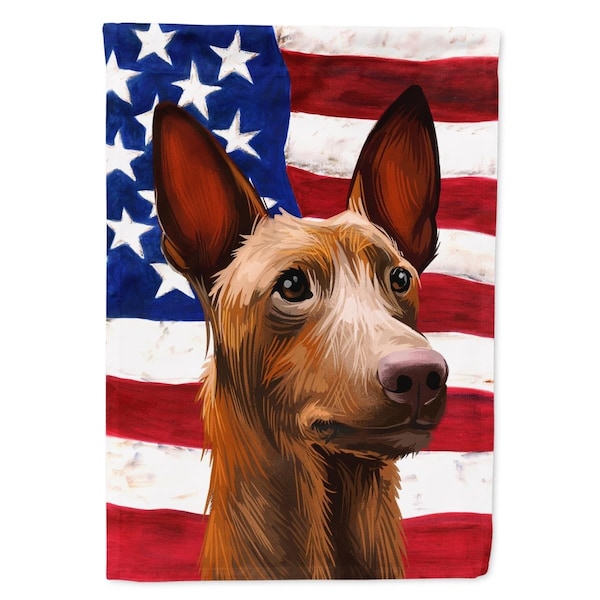Carolines Treasures Pharaoh Hound Dog American Canvas House Flag - 28 x 0.01 x 40 in. - CK6643CHF