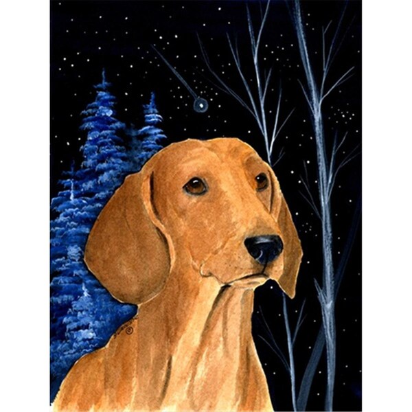 Carolines Treasures Starry Night Dachshund Flag - Garden Size- 11 x 15 in. - SS8379GF