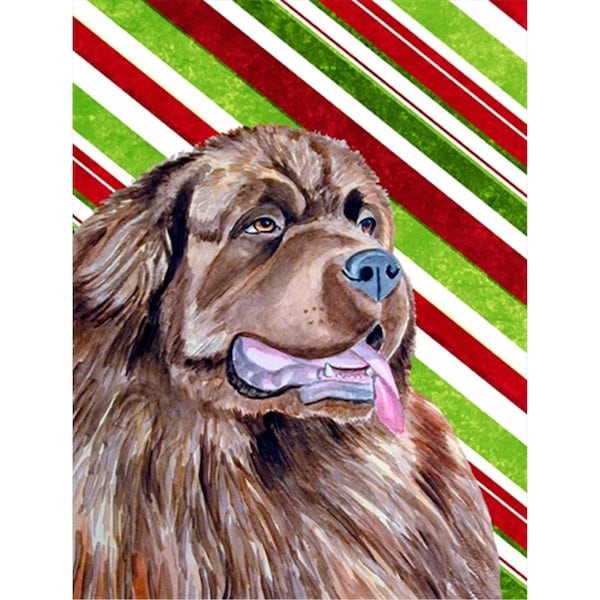 Patioplus 11 x 15 in. Newfoundland Candy Cane Holiday Christmas Garden Size Flag - PA730415