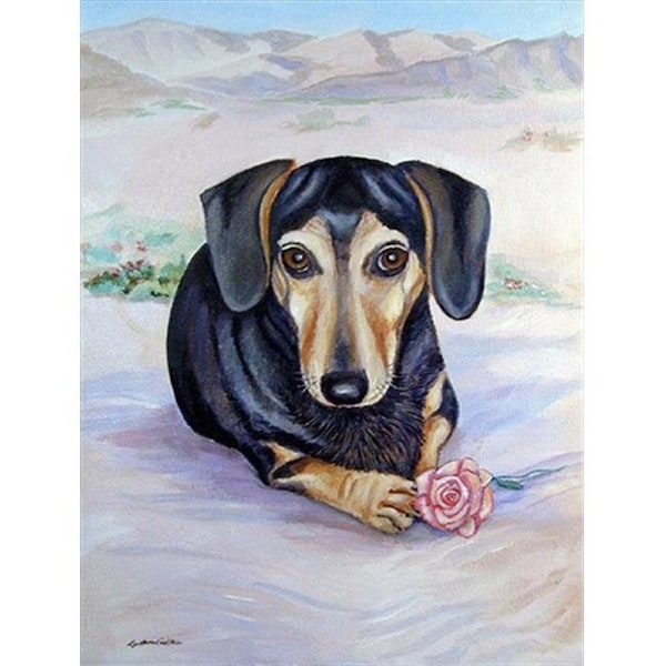 Carolines Treasures Carolines Treasures 7076GF Black And Cream Dachshund Flag - Garden Size - 7076GF