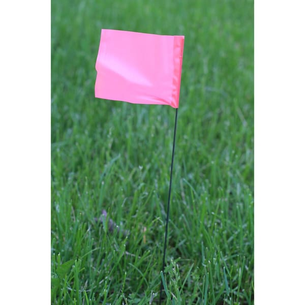 C.H. Hanson C.H. Hanson 21 in. Pink Marking Flags Polyvinyl 100 pk - 15081