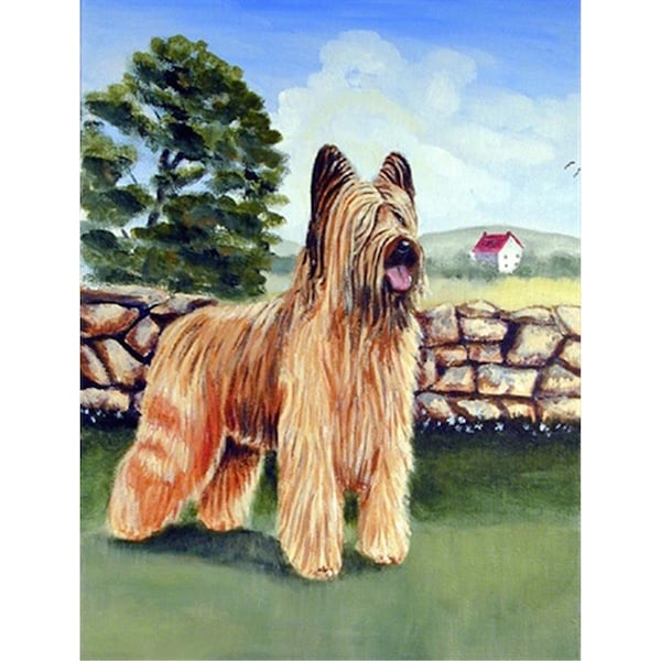 Carolines Treasures 28 x 40 in. Briard By The Stone Fence Flag Canvas House Size - 7003CHF